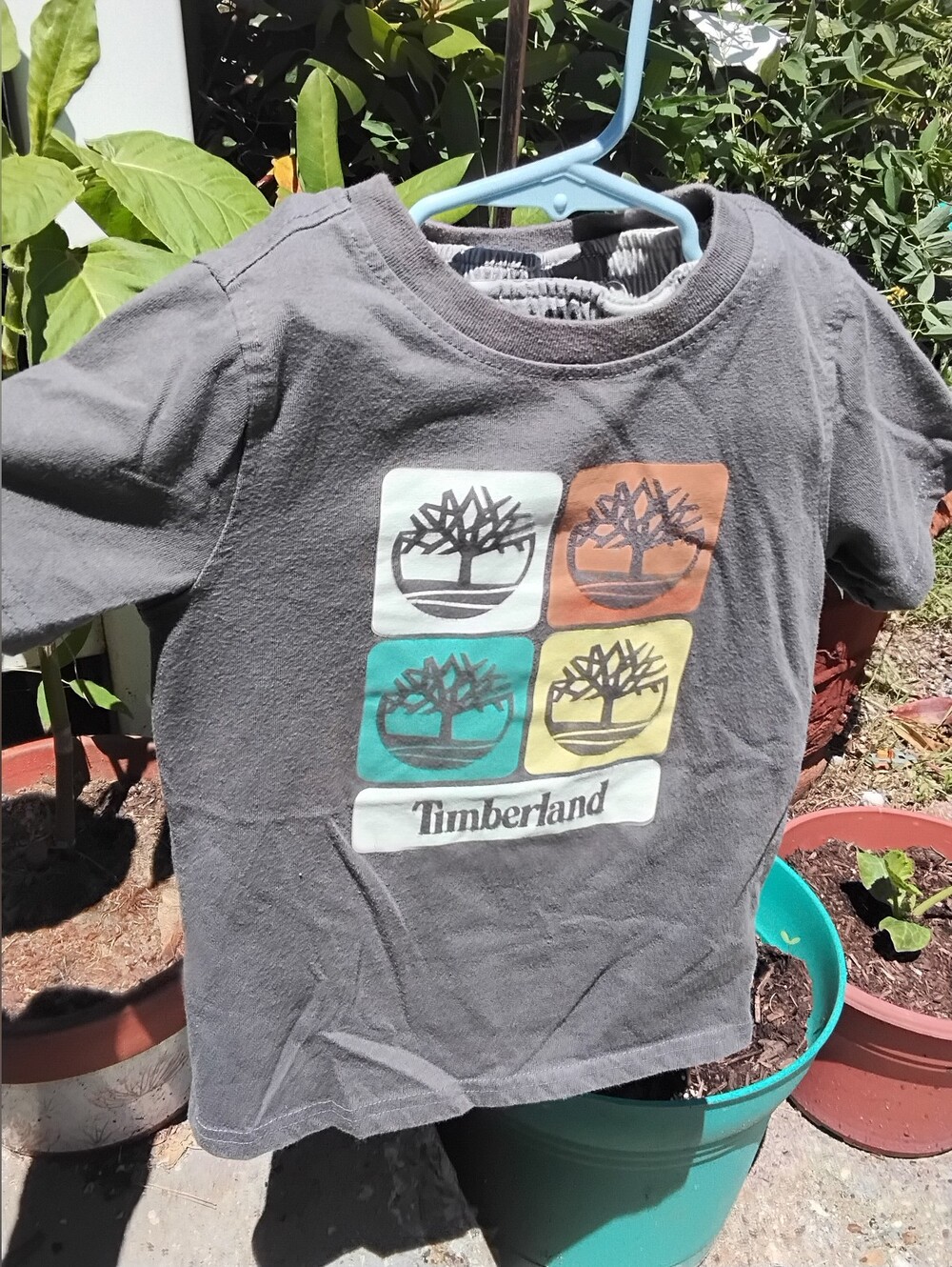 Timberland GUC Kids Gray Tee & Shorts Sz 4T with Teal, Yellow & Orange
